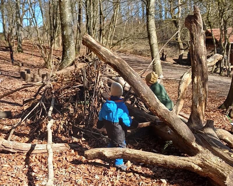 Kinder sammeln Äste im Wald.